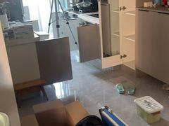 -科立恩进口除甲醛甲醛检测