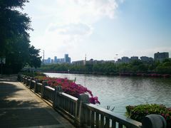 -光明港公园