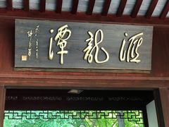 -汇龙潭