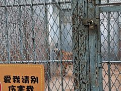 -西安秦岭野生动物园