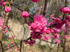 -周口店北京人遗址公园