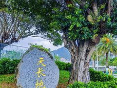 -大梅沙海滨公园