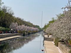 -元大都城垣遗址公园