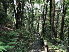 -南山植物园