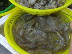 -板桥海鲜广场(文明东店)