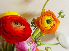 -盒马鲜生(龙德广场店)