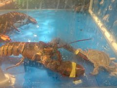 -AEON永旺超市(天津津南店)