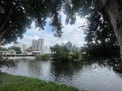 -荔湾湖公园