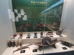 -广东中医药博物馆
