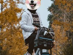 -白鹭湾湿地公园