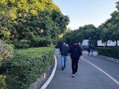 -大屏嶂森林公园