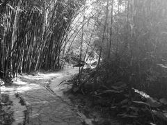-开平碉楼文化旅游区马降龙景区