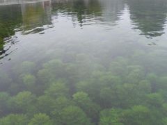 -靖西鹅泉风景区