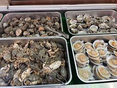 -红星渔村(将军石店)