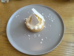 柠檬塔-EN SPACE恩空间