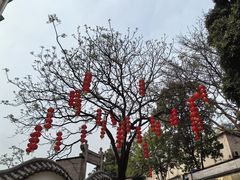 -广州神农草堂中医药博物馆