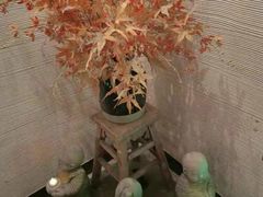 -Dragonfly悠庭·按摩Spa(静安嘉里中心店)