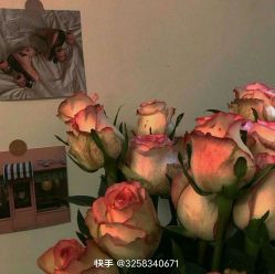 -HEYAN荷妍专业脱毛连锁机构