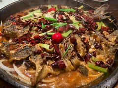 -老板恋上鱼(荣盛广场店)