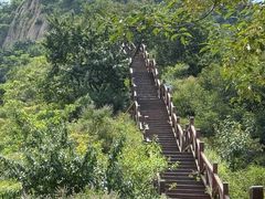 -大岭沟猕猴桃谷风景区