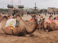 -镇北堡西部影城