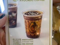 -油梨树AVOCADO TREE(望京店)