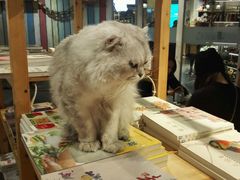 -小时光咖啡馆(开森度假森林店)