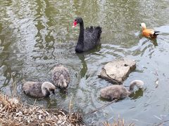 -济南野生动物世界