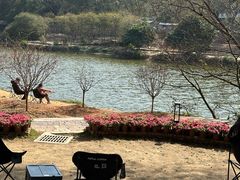 -南国桃园旅游度假区