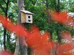 -大兴滨河森林公园