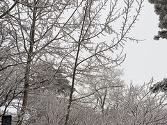-华山风景名胜区