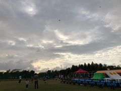 -春花秋色城市公园