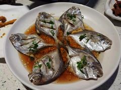 -阿莉餐厅(枣阳路店)