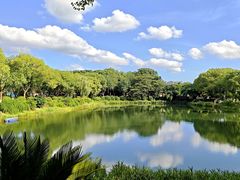 -金银湖国家城市湿地公园