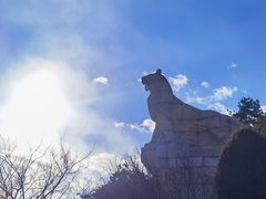 -帽儿山国家森林公园