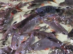 -多彩贵州城极地海洋世界