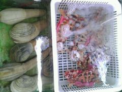 android_upload_pic-海边
