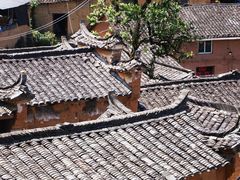-杨家堂村
