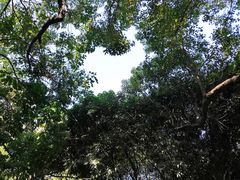 -燕晗山郊野公园