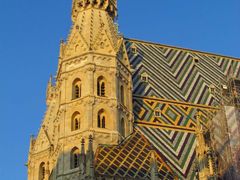 -斯蒂芬主教座堂(Stephansdom)