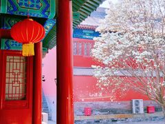 -大钟寺古钟博物馆