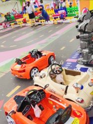 -欢乐陶陶儿童主题乐园(龙岗店)