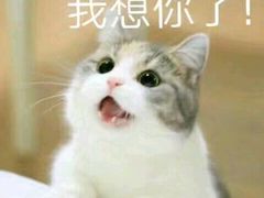 -荣记火锅(青悦城店)