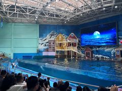 -西安曲江海洋极地公园