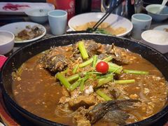 -老板恋上鱼(恒隆广场店)