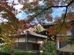 -常寂光寺