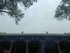 -关林