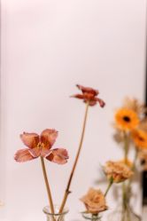-琥珀婚礼策划AMBER WEDDING