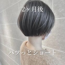 -SY COLOUR专业烫染