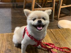 -Brut Eatery悦璞食堂(愚园路店)